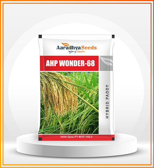 Paddy Seeds